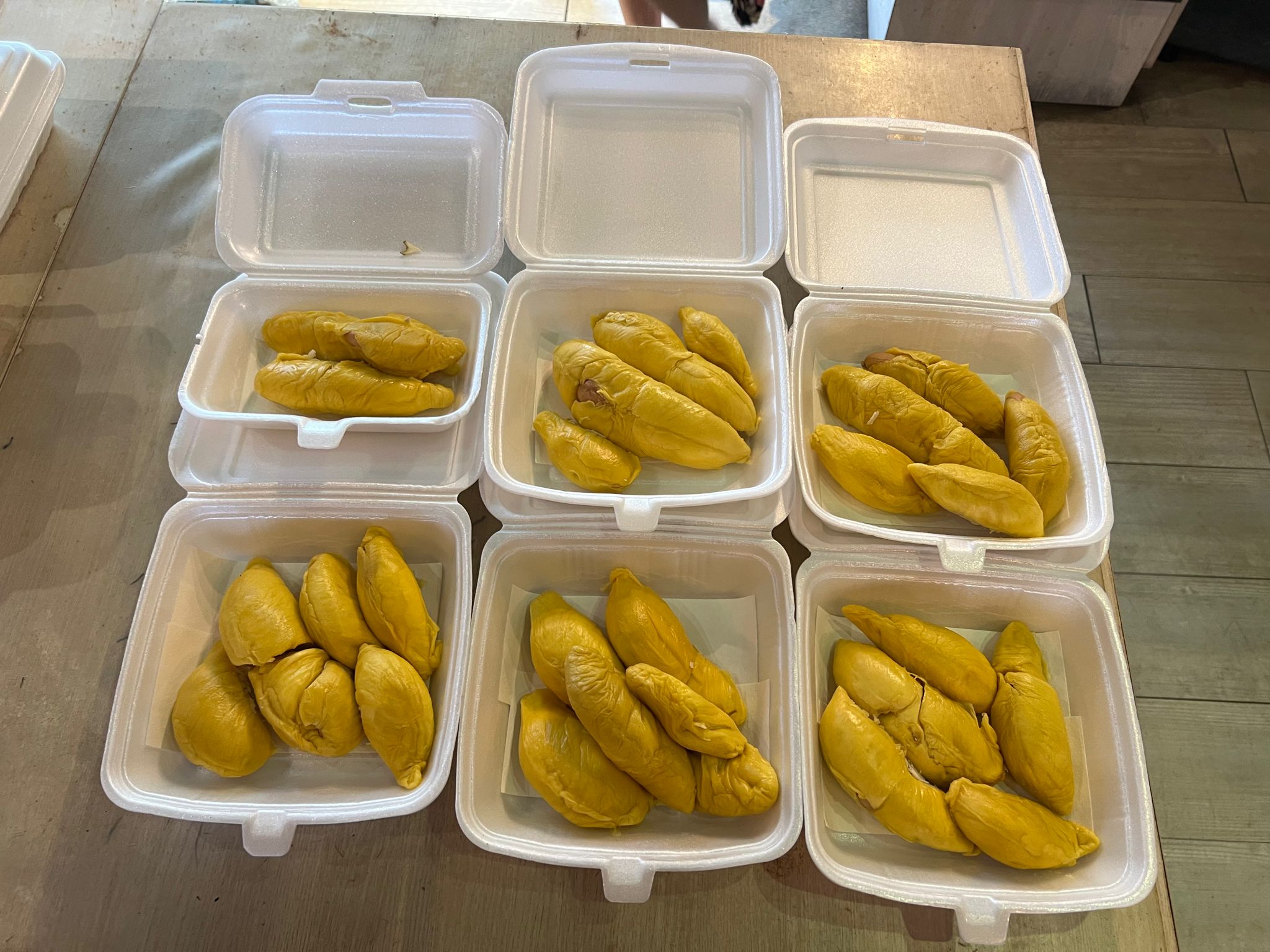 Johore Tangkak MSW 10kg free 1kg